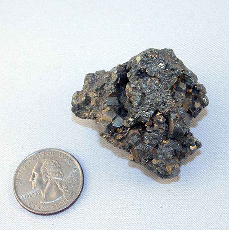 10127_Pyrite crystals on matrix-index