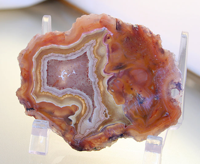 Agate Slab - Laguna Agate with orange and white banding and sagenite center