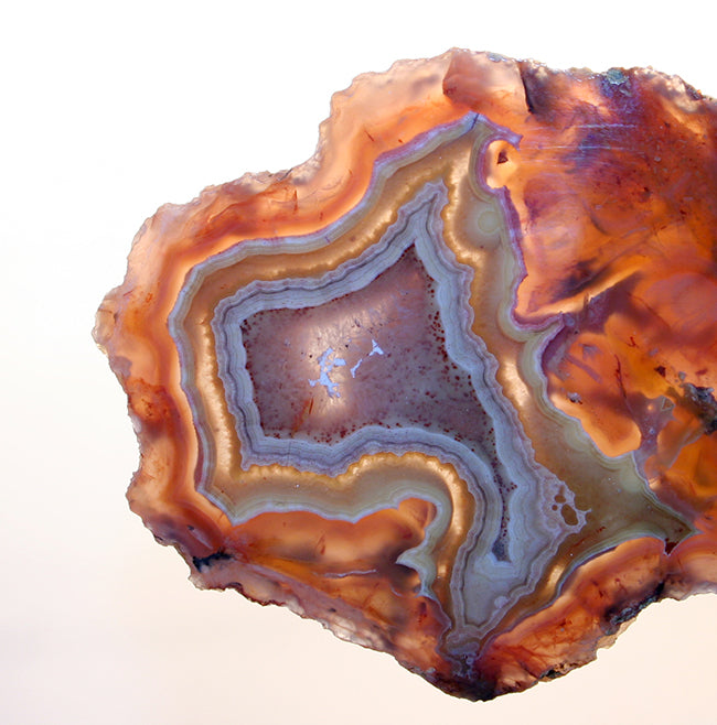10241_LagunaAgate - backlit