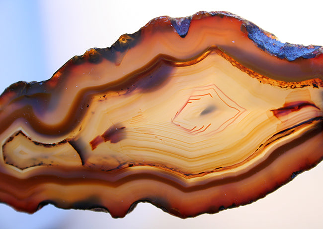 10243_lagunaAgate-back lit