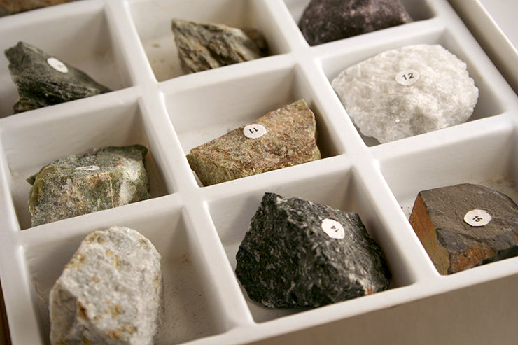 80005_closeup of Metamorphic specimens