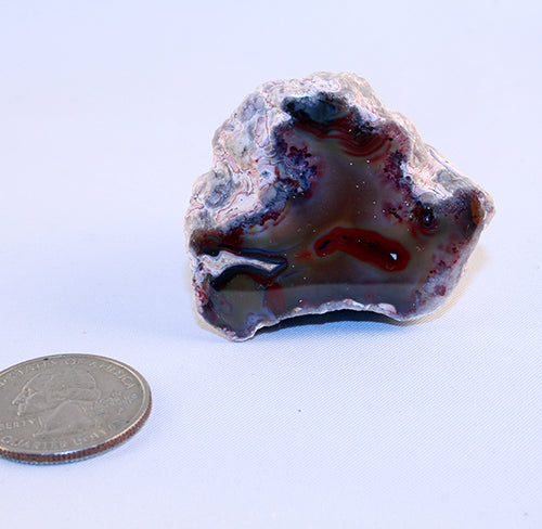 10228_Puma Agate-index