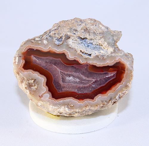 Geodes and Thundereggs from around the world - a treasure-box of crystals!