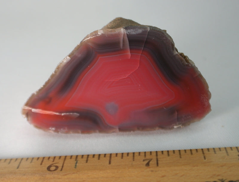 10203 Agate Creek agate with ruler for size index. 