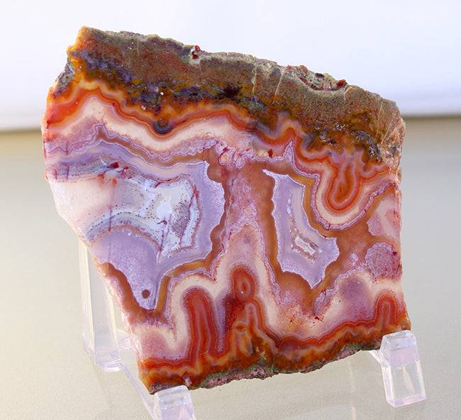 10242_Laguna Vein Agate - back view