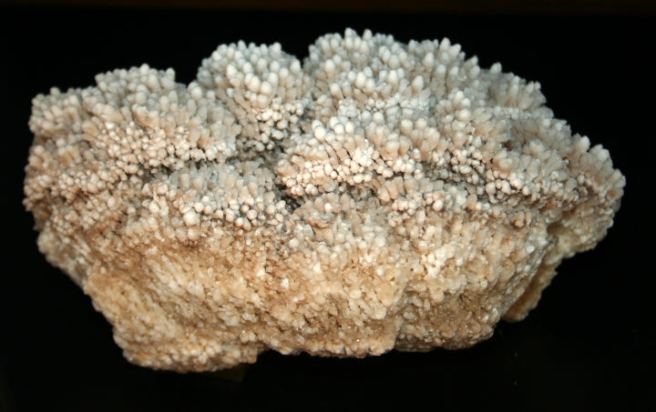 Crystal - Aragonite cluster in coral-type formation.
