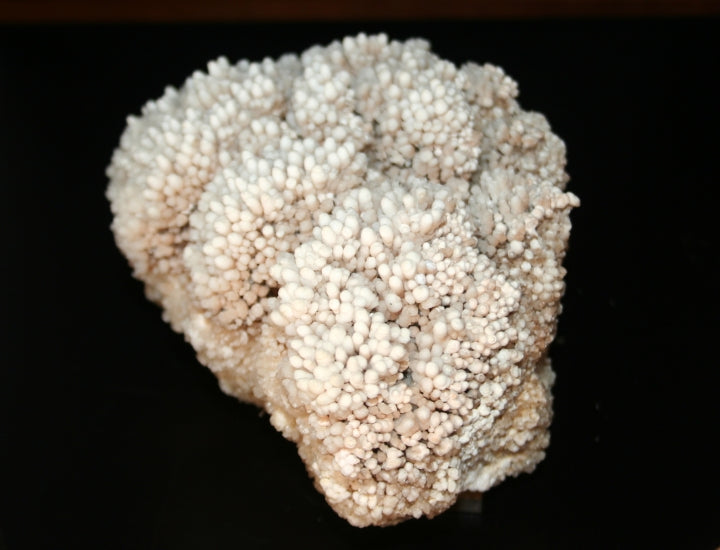 Crystal - Aragonite cluster in coral-type formation.
