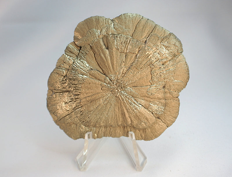 10375 Pyrite sun disk showing back on stand