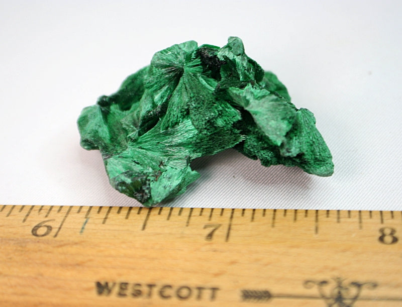 10377 fibrous malachite with ruler for index size