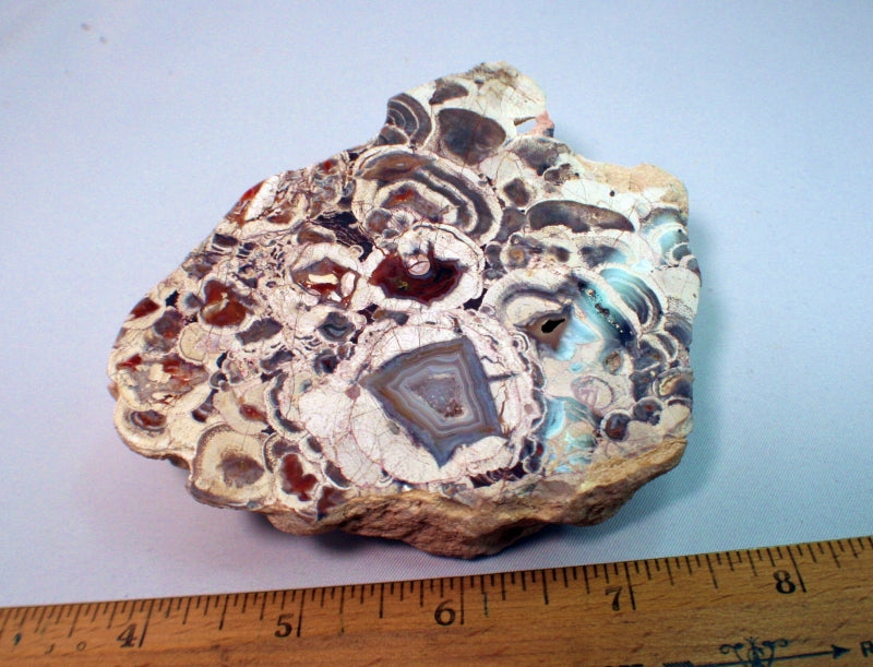 10378 Orange star thunderegg with ruler for size index