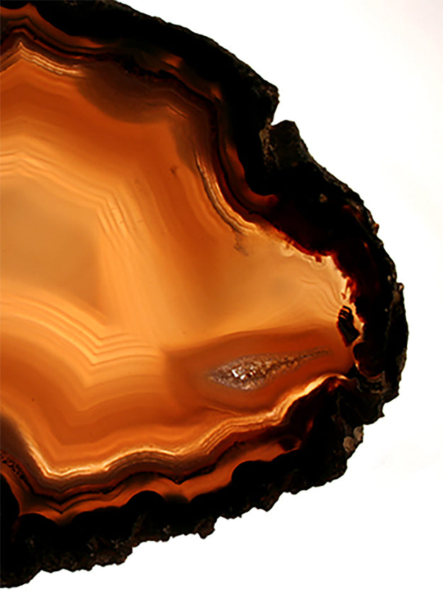 A close-up of a polished agate slice with layered bands of amber orange, honey brown, and a dark natural black edge, set against a plain white background.