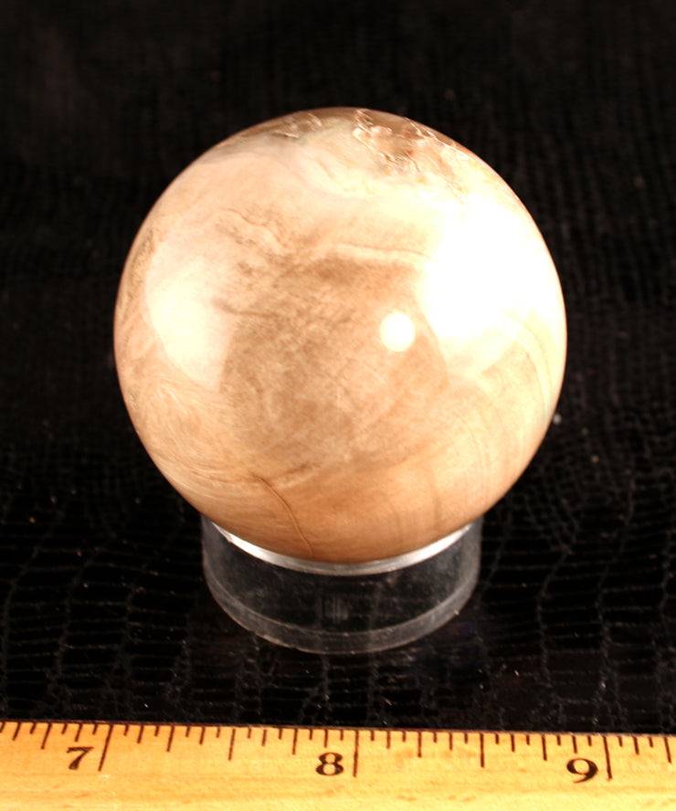 60123_Petrified Wood Sphere - index and back