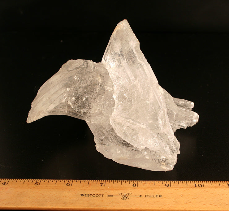 Selenite Crystal cluster - front view index for size