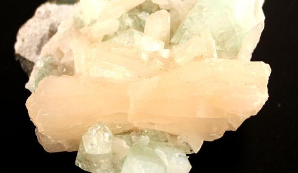 Stilbite Bowtie on Apophyllite crystals closeup
