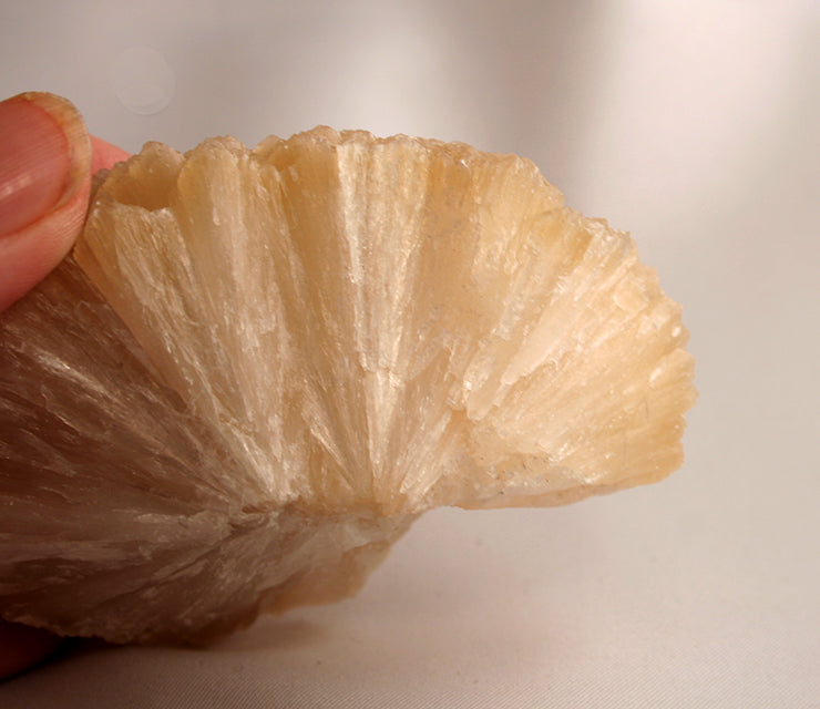10296_Stilbite cream crystal -bottom showing crystal growth