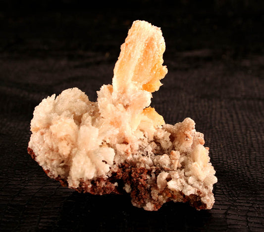 10311_Rams Horn Selenite - front