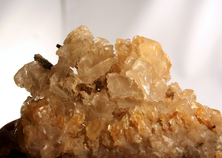 10330 halite crystals grown on wood matrix-close up