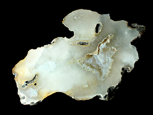 20009_Tampa Bay Coral - agatized half