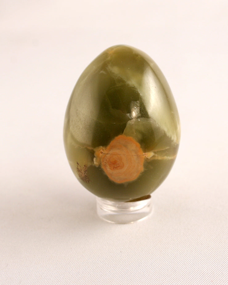 Egg-Pampas Onyx with butter spot-back