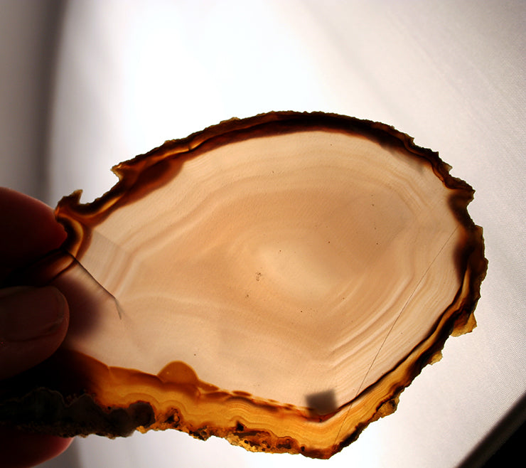 60081 - agate slab 2 - back lit and showing slight fracture on side. This has an iris effect also.