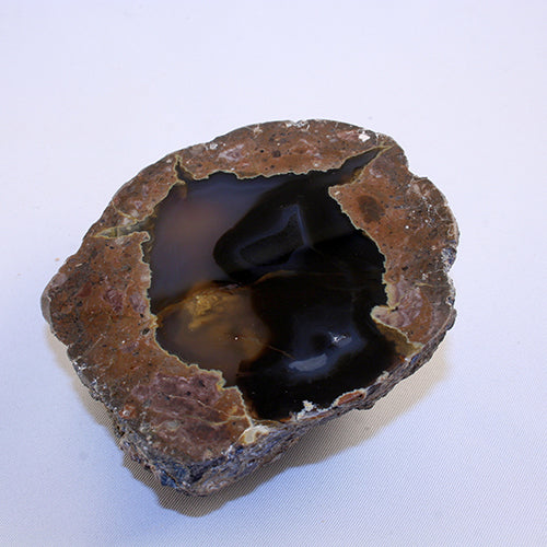 10209_thunderegg half - front different angle