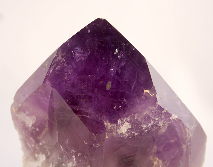 close up of amethyst crown tip