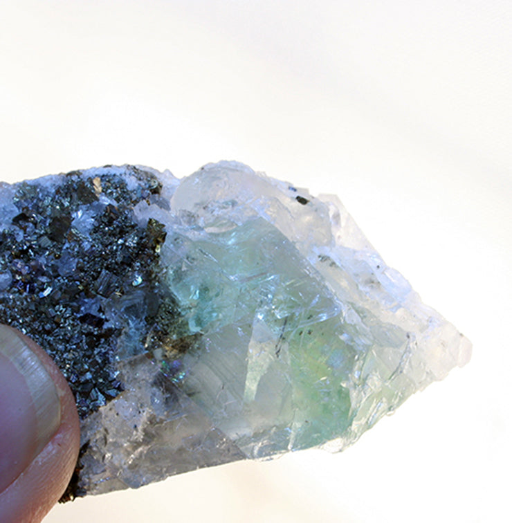 Crystal - Fluorite on pyrite and Sphalerite