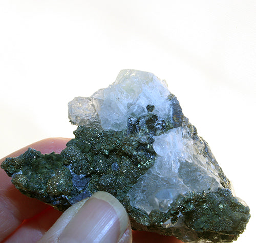 10126_fluorite on pyrite and galena -back lit